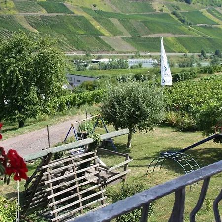 Weingut-Brennerei-Gästehaus Emil Dauns Reil Exterior foto