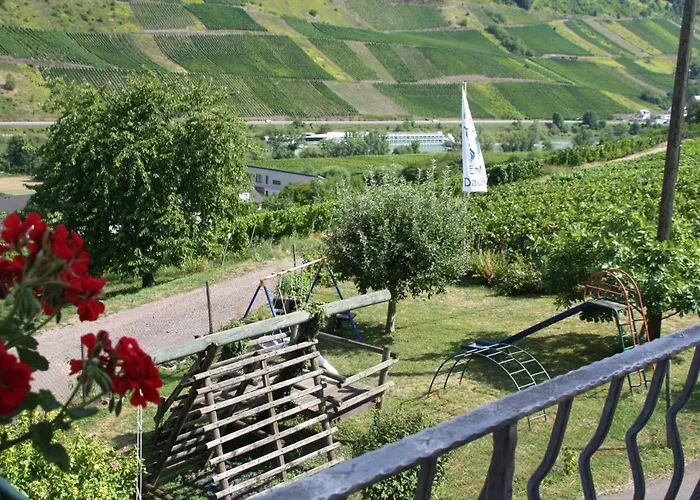 Weingut-Brennerei-Gästehaus Emil Dauns