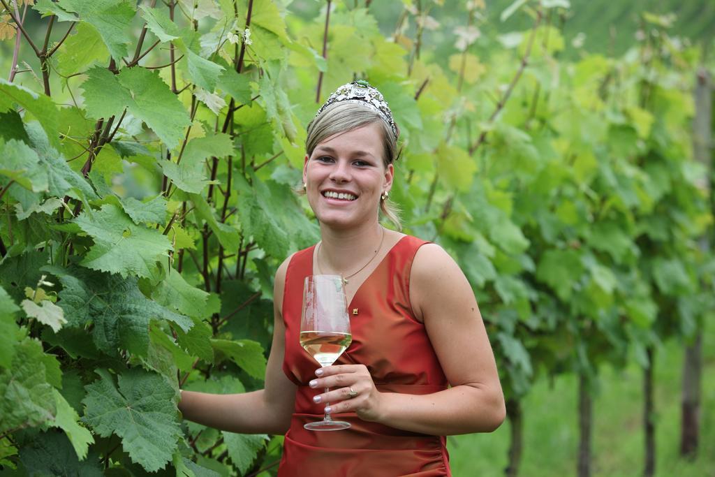 Gasthof Weingut-brennerei-gästehaus Emil Dauns *