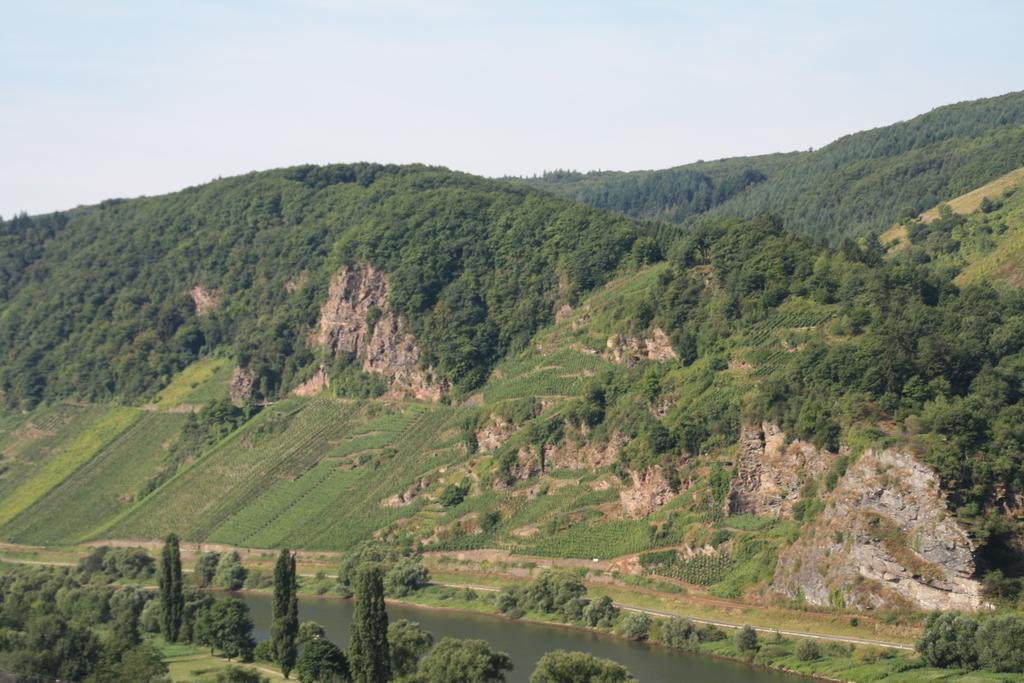 Weingut-brennerei-gästehaus Emil Dauns Reil