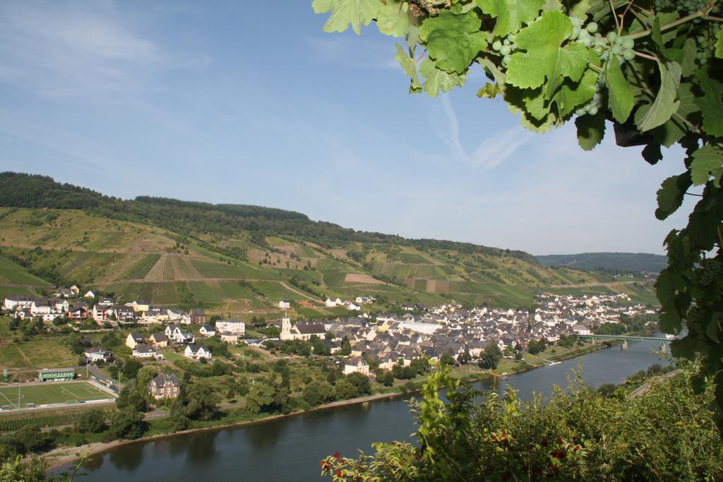 Weingut-brennerei-gästehaus Emil Dauns *