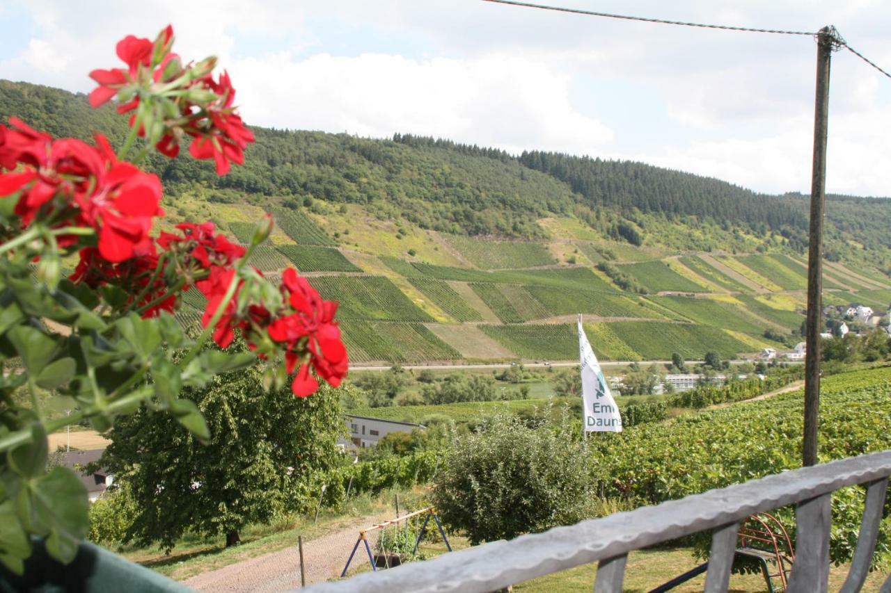 Weingut-brennerei-gästehaus Emil Dauns *